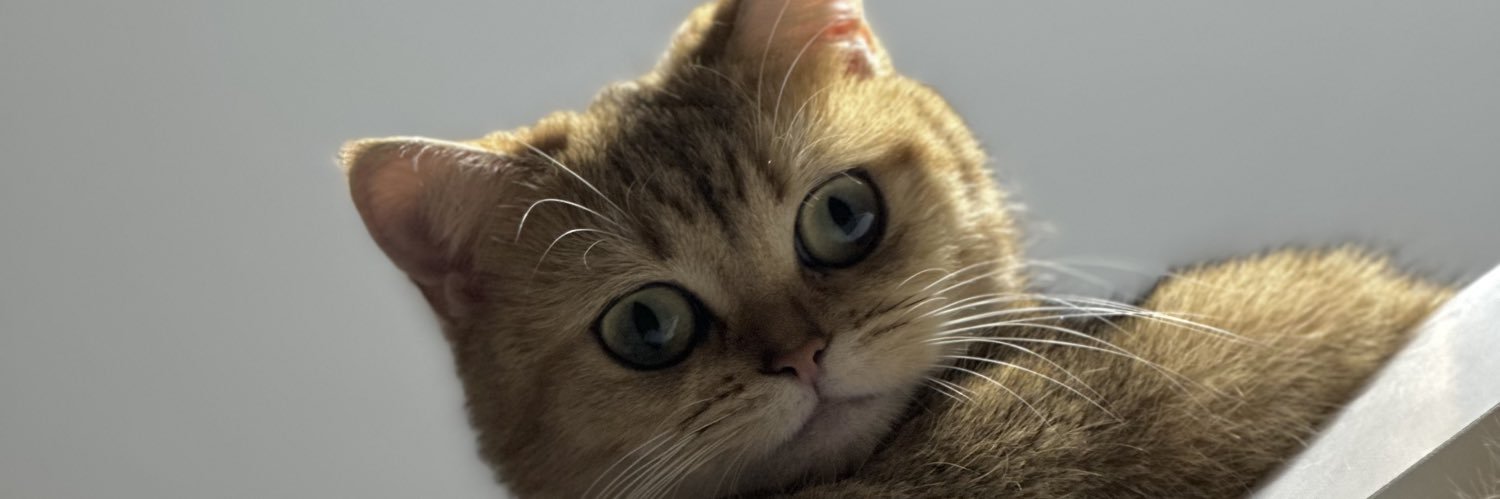 bussratetikk's profile banner image