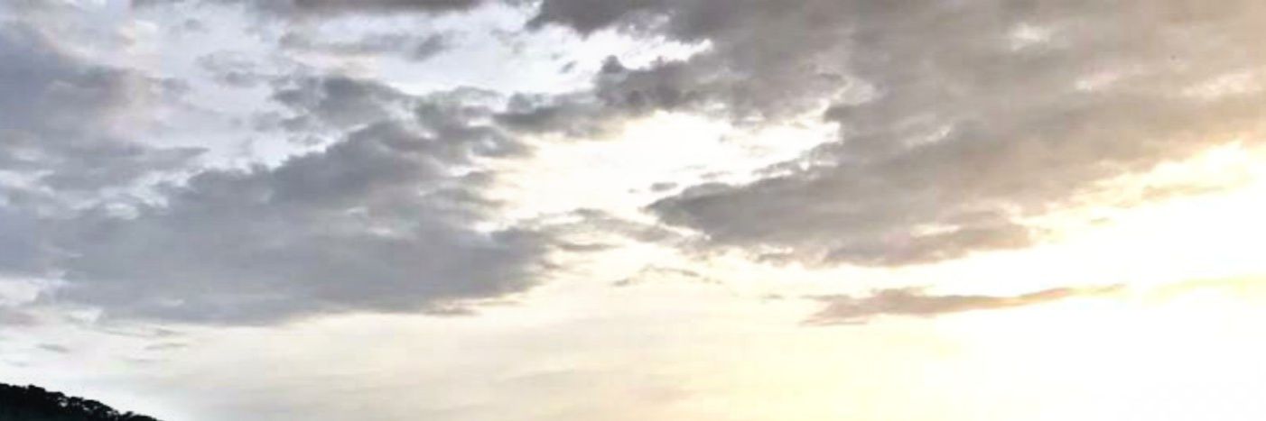 Pallais_01's profile banner image