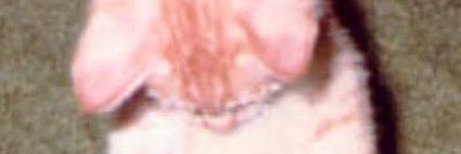 andshe_was's profile banner image