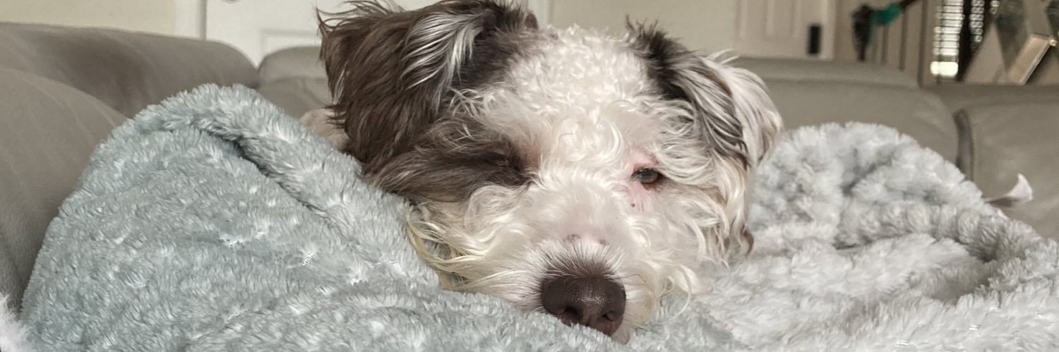 kelseythoughtz's profile banner image