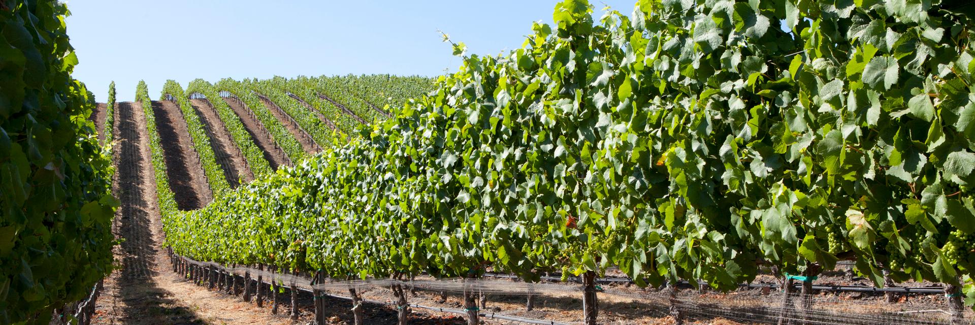 Foley Estates banner