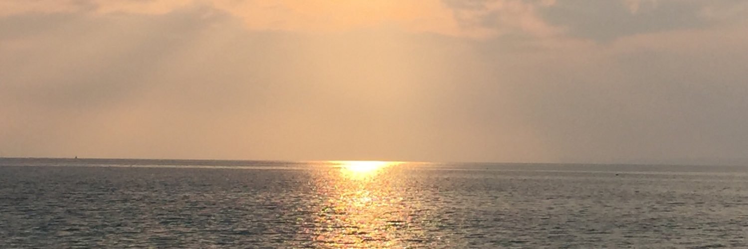 Faye_Myring's profile banner image