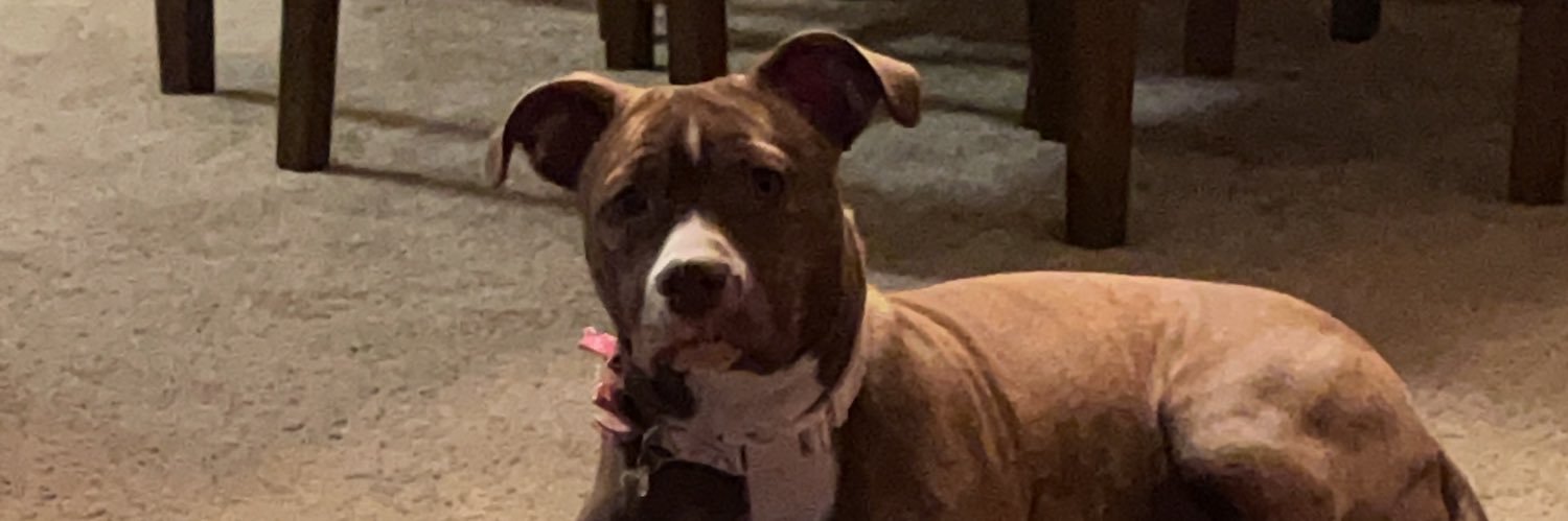 ashleymorgann banner