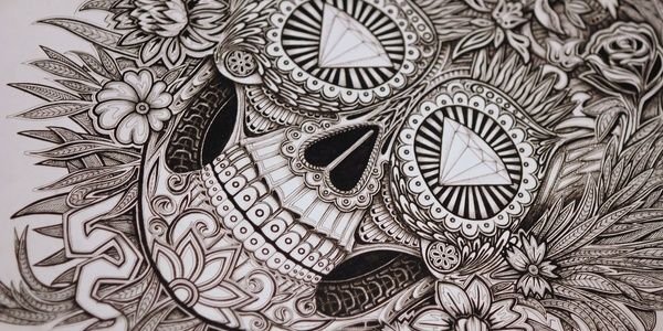 _sshak's profile banner image