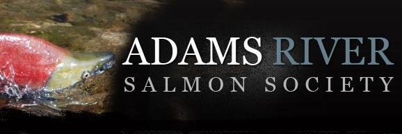 info_salmon's profile banner image