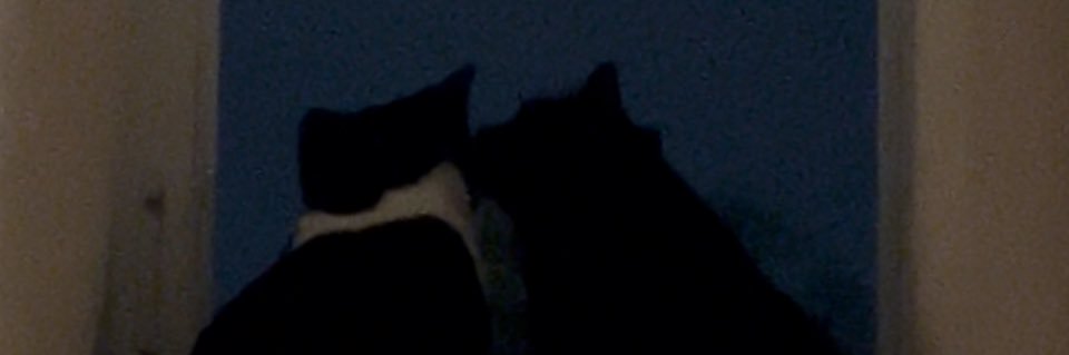 RV04_'s profile banner image