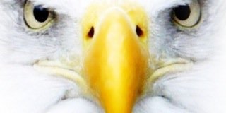 KeeganMarx's profile banner image