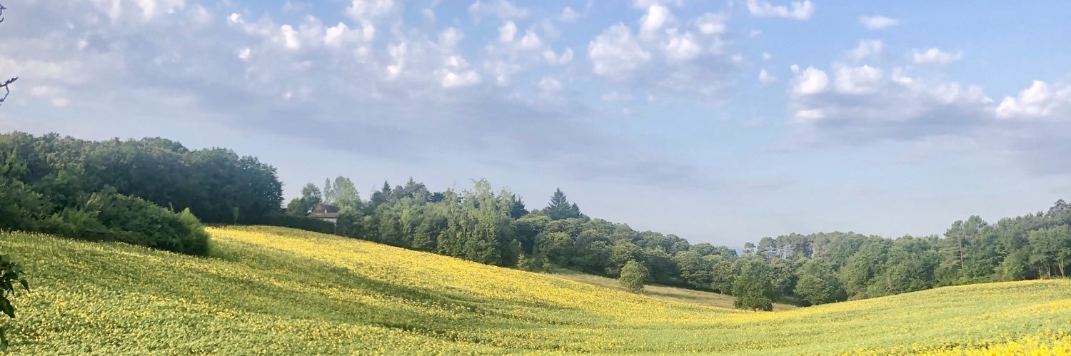 Flore Monfort banner