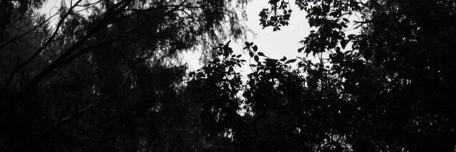 Mehdi_Damak's profile banner image