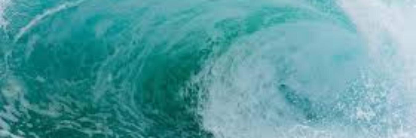 Scott Vaughan banner