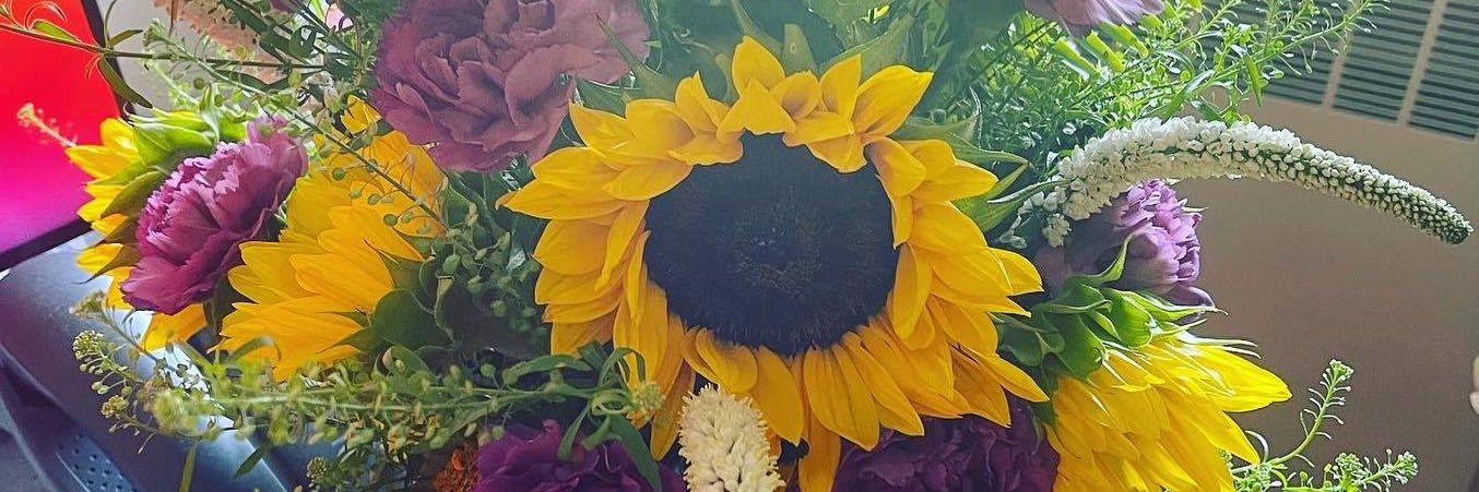 Melinda Anderson banner