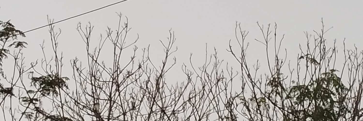 Yuvi_40's profile banner image
