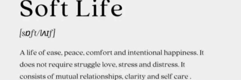 Soft Life Baby banner