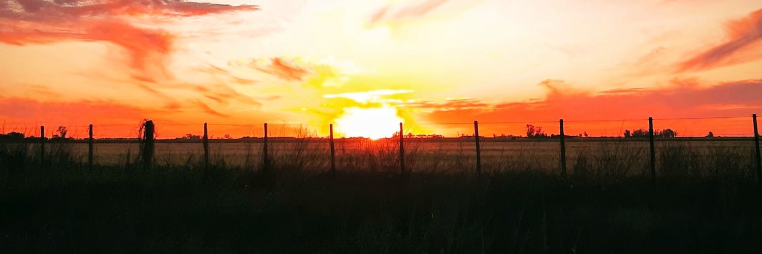 vale_profeta's profile banner image