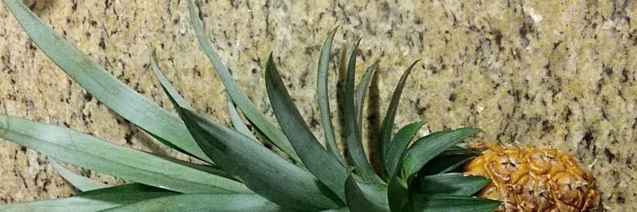 ssharpe553's profile banner image