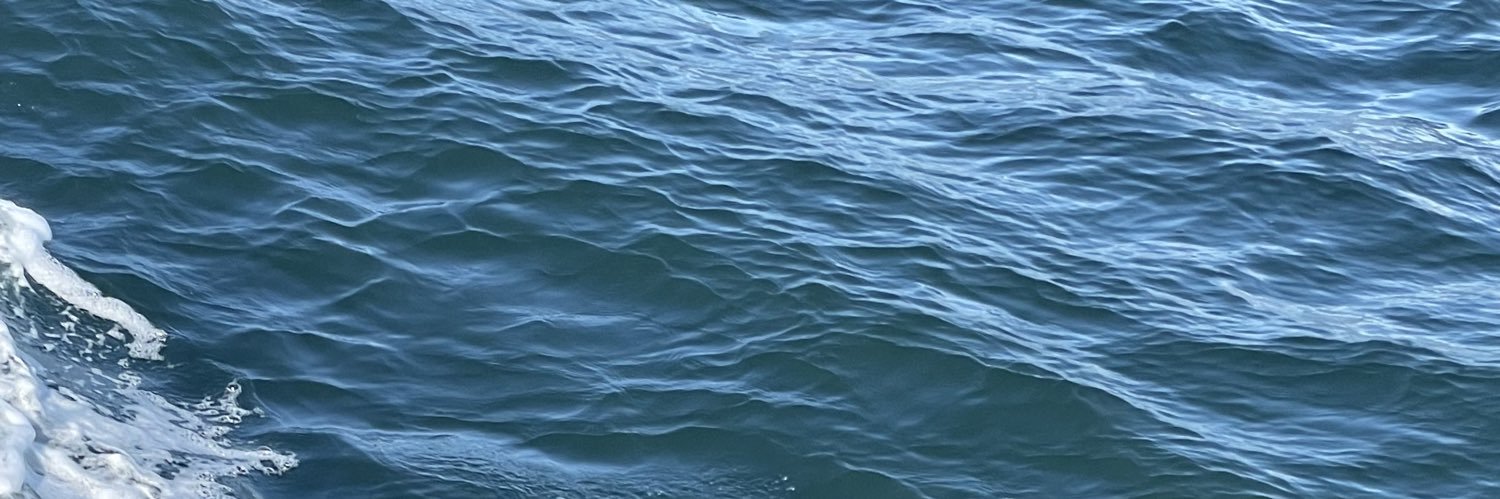 CDMF96's profile banner image