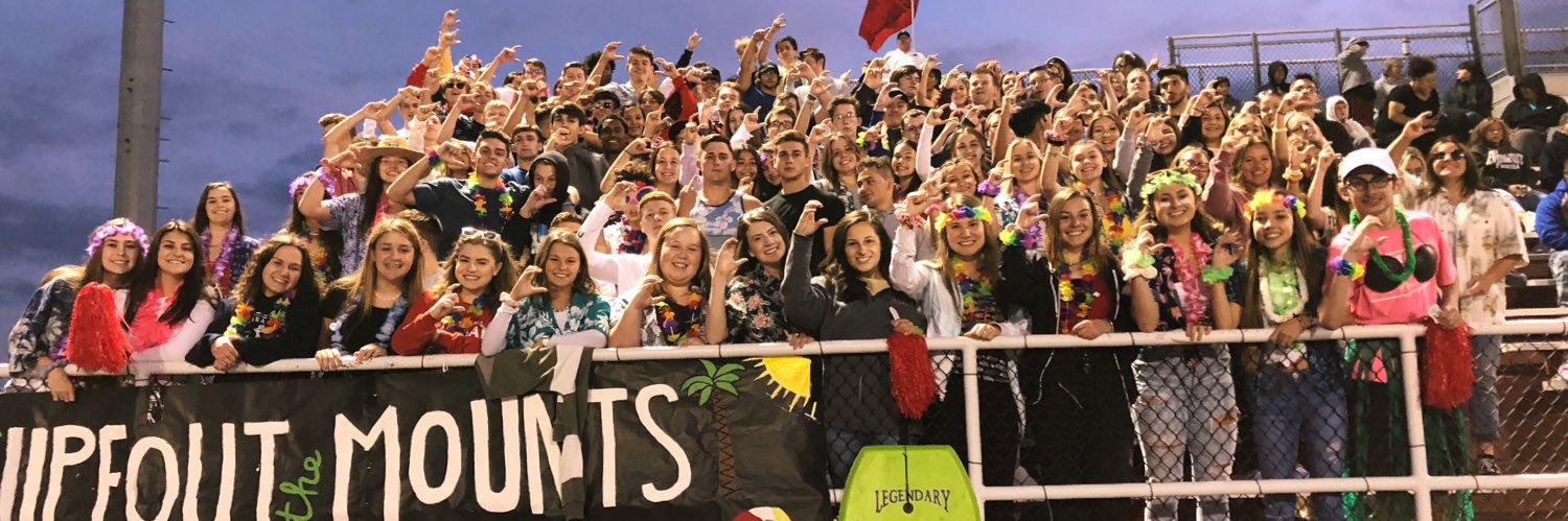 Cougar Crazies banner