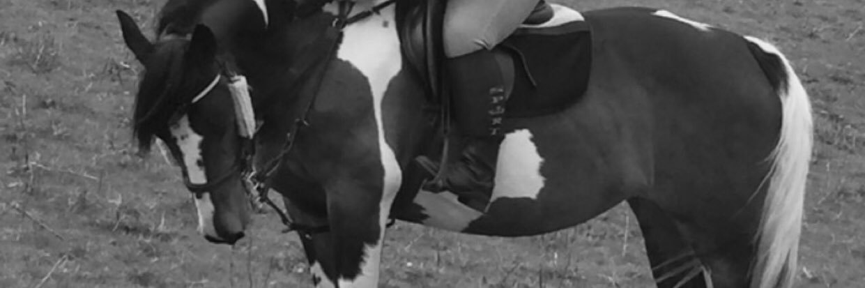 sparkylight209's profile banner image