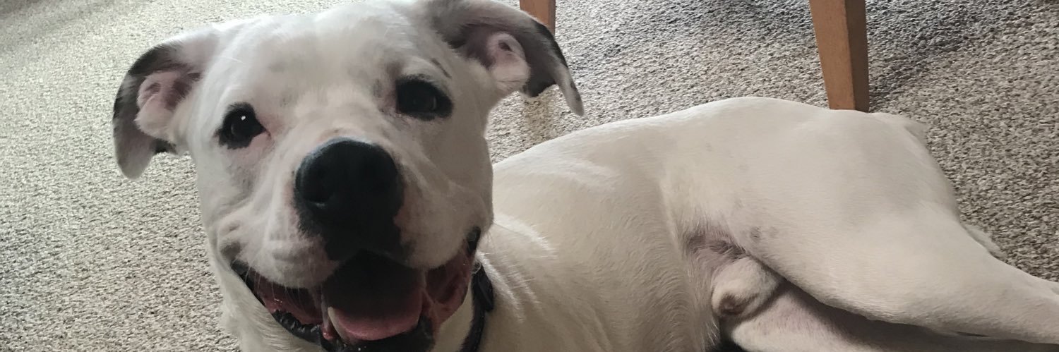 daileehelfrich's profile banner image