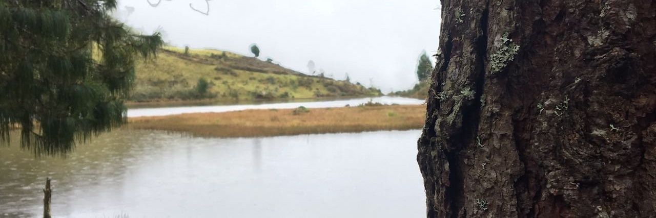 DanielaDiazP's profile banner image