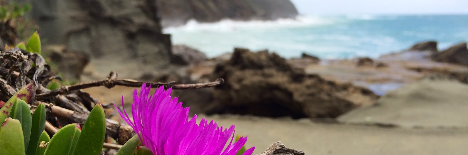 Antony Balmain banner