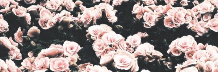 reachingdolan's profile banner image
