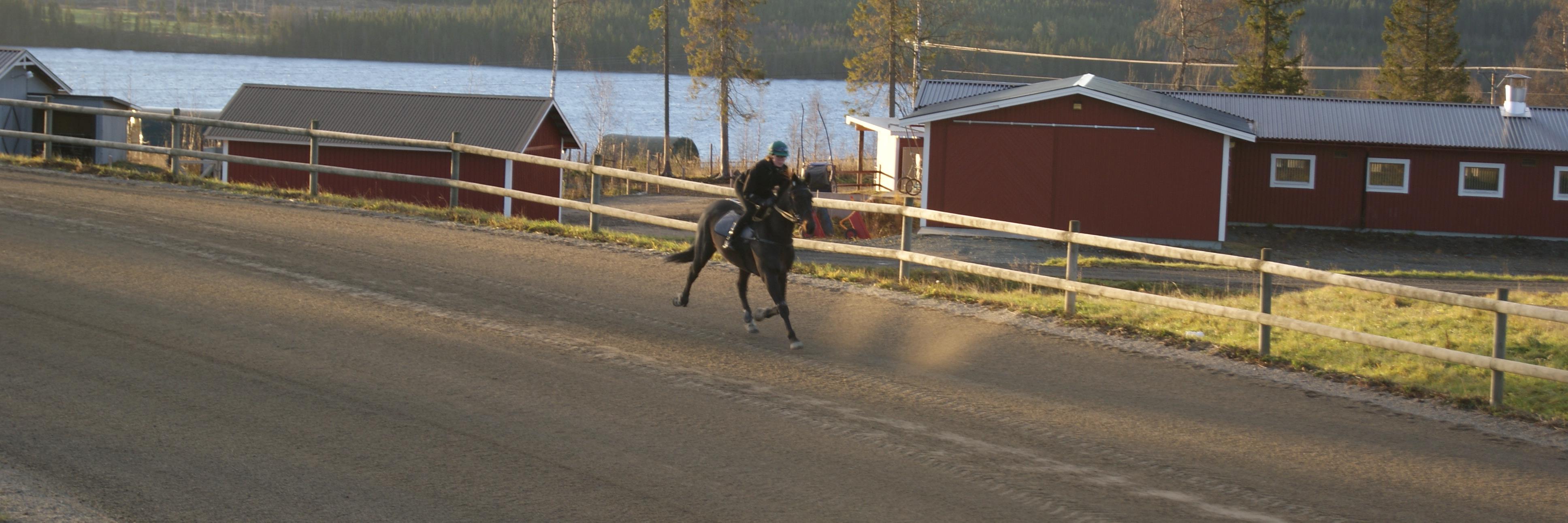 mettiis's profile banner image