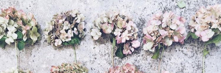 _JodiClark's profile banner image