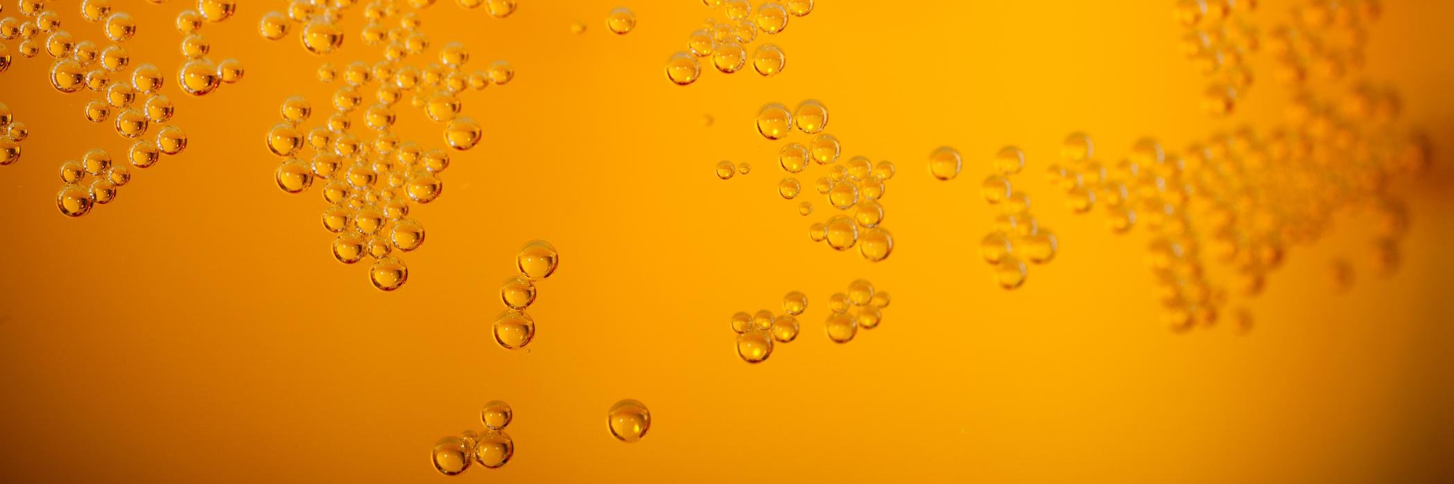 Kolibier's profile banner image