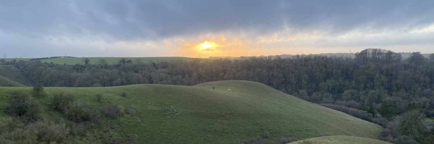 Max Williamson banner