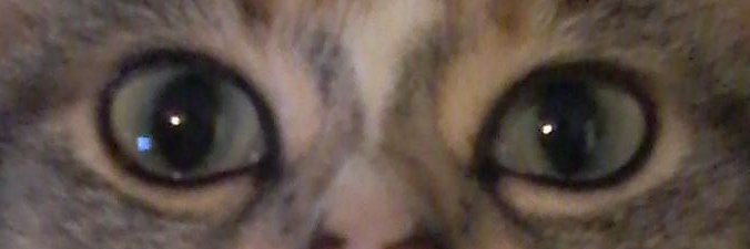 eldehu8345's profile banner image