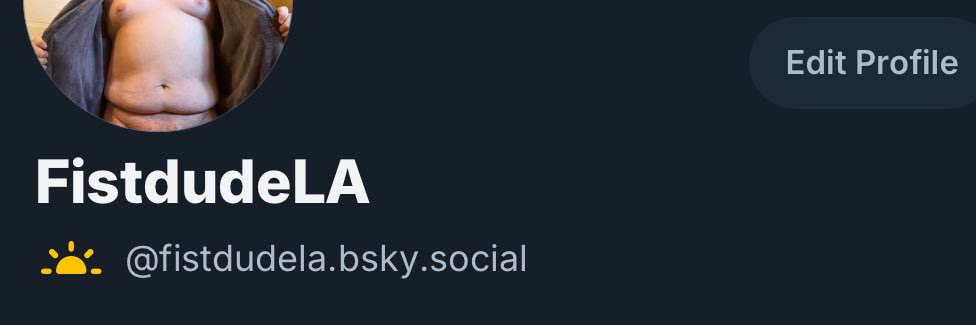 FistdudeLA's profile banner image
