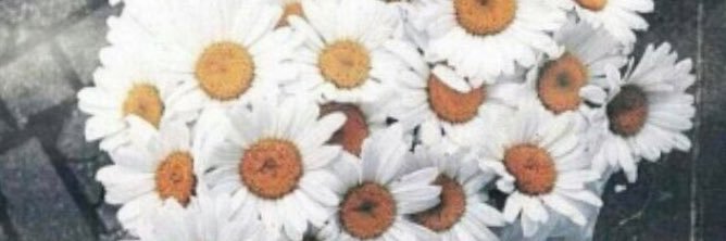 gzell5's profile banner image