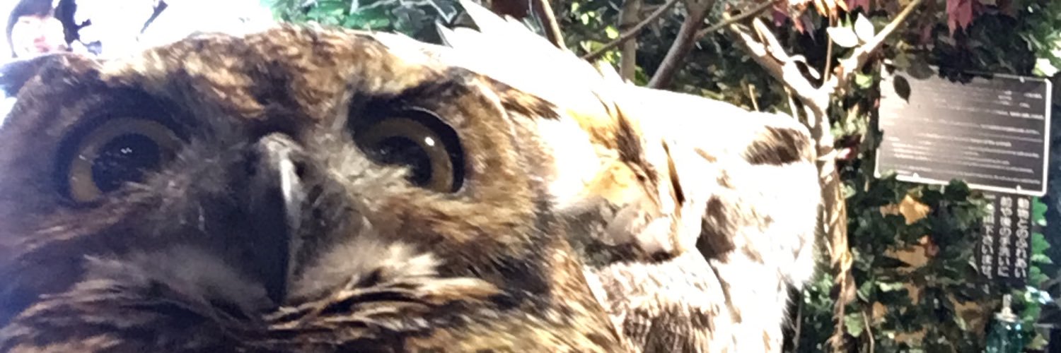 hu0415's profile banner image