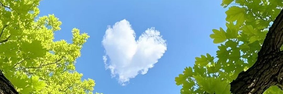 sa569_so's profile banner image
