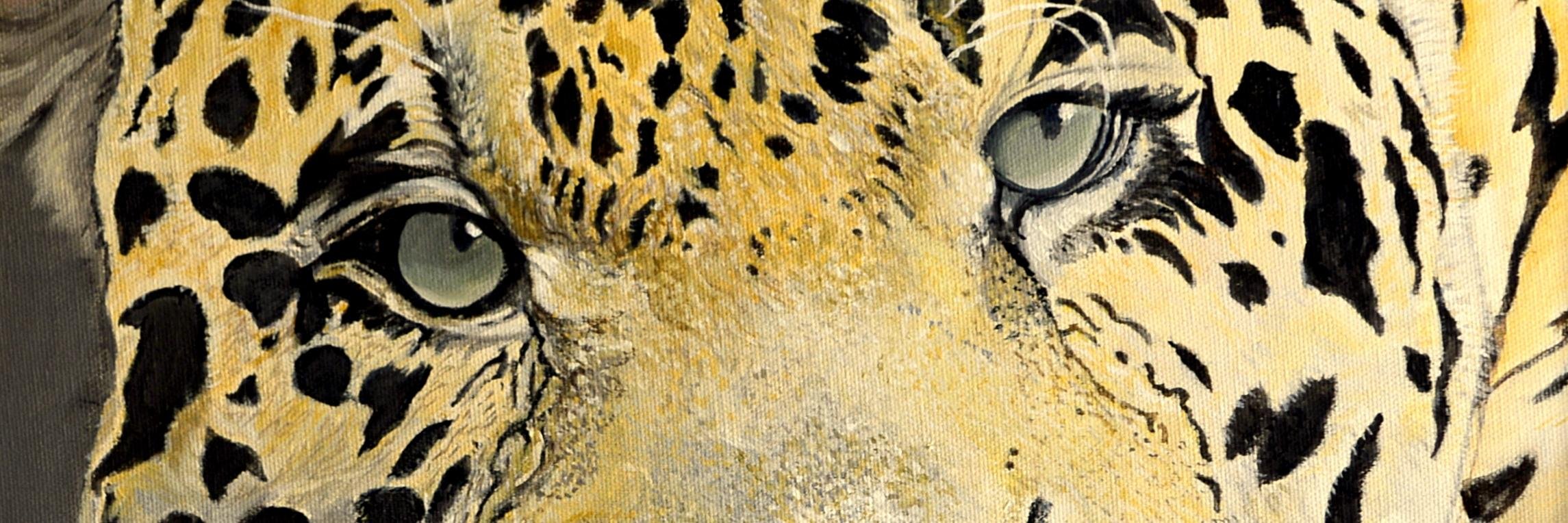 cefilma's profile banner image