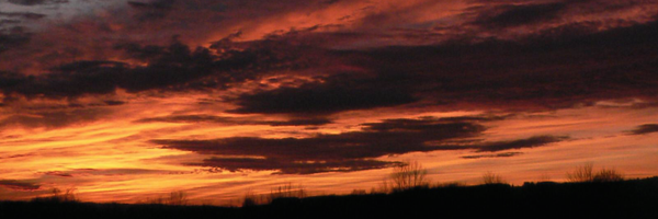 bec_ste Profile Banner