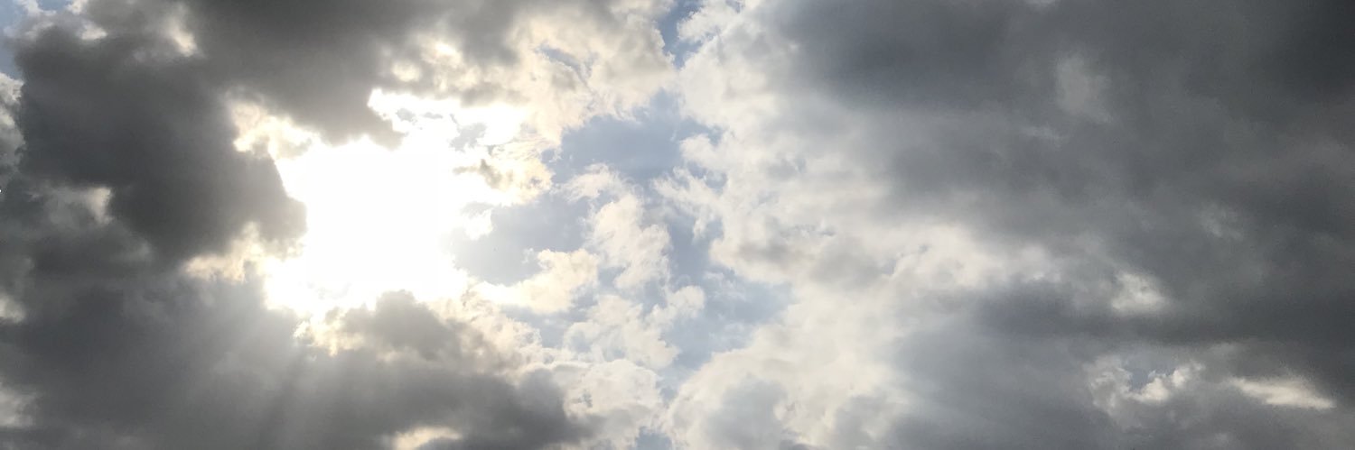 ernstierna's profile banner image