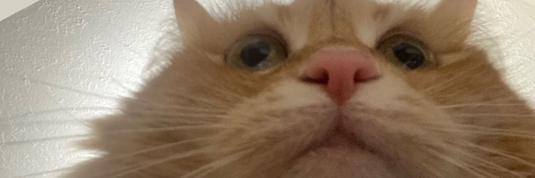 cawch's profile banner image