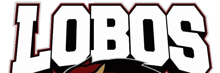 LobosITMerida's profile banner image
