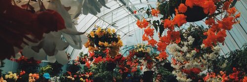 haleyerose's profile banner image
