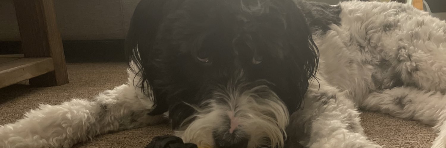 scott_gabe12's profile banner image