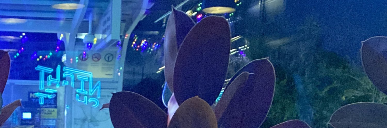 quietdistress's profile banner image