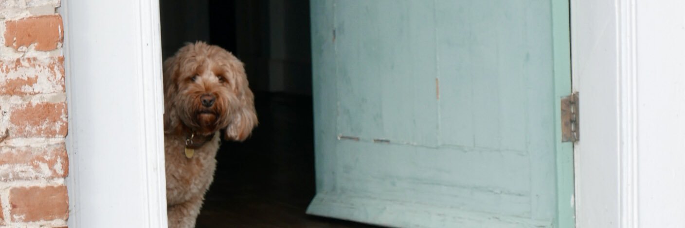 Kimberley McDonald's banner