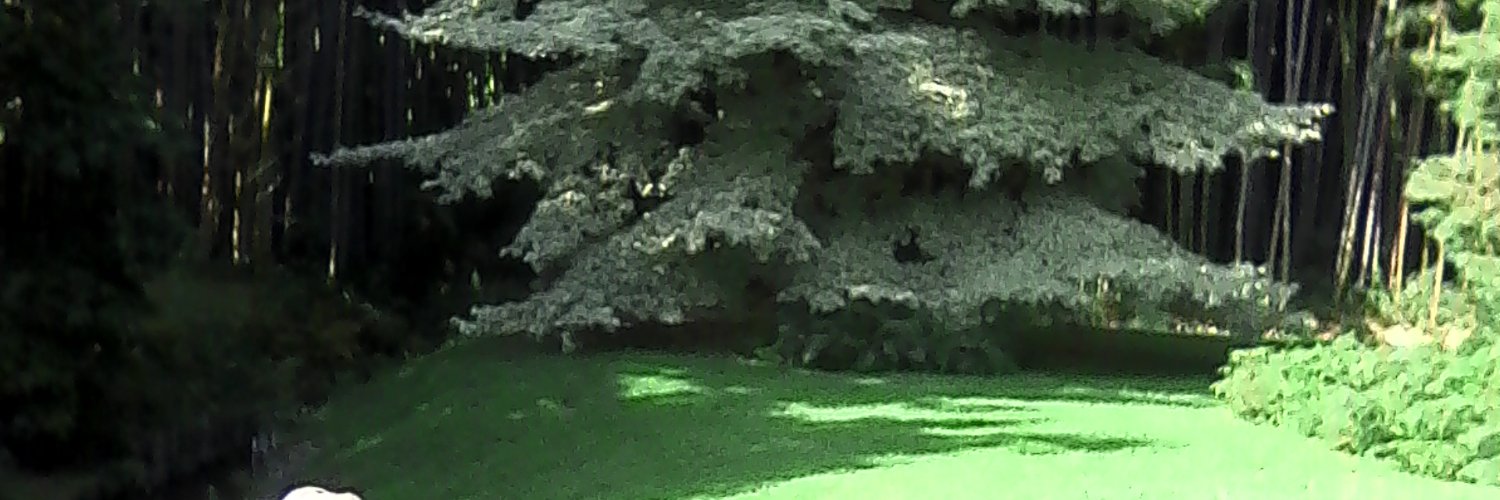 fmarie34's profile banner image
