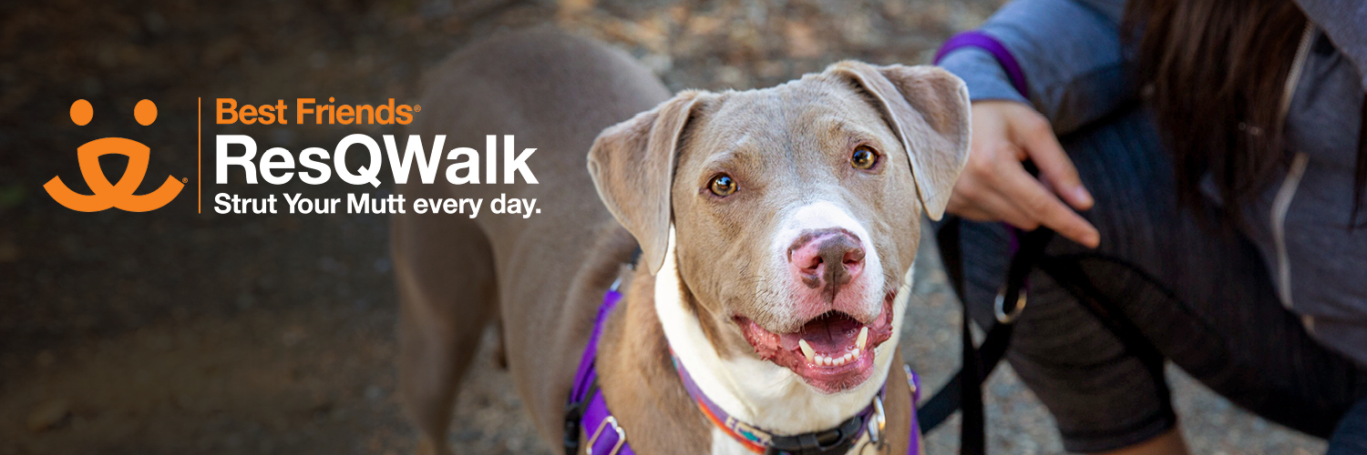 ResQWalk banner