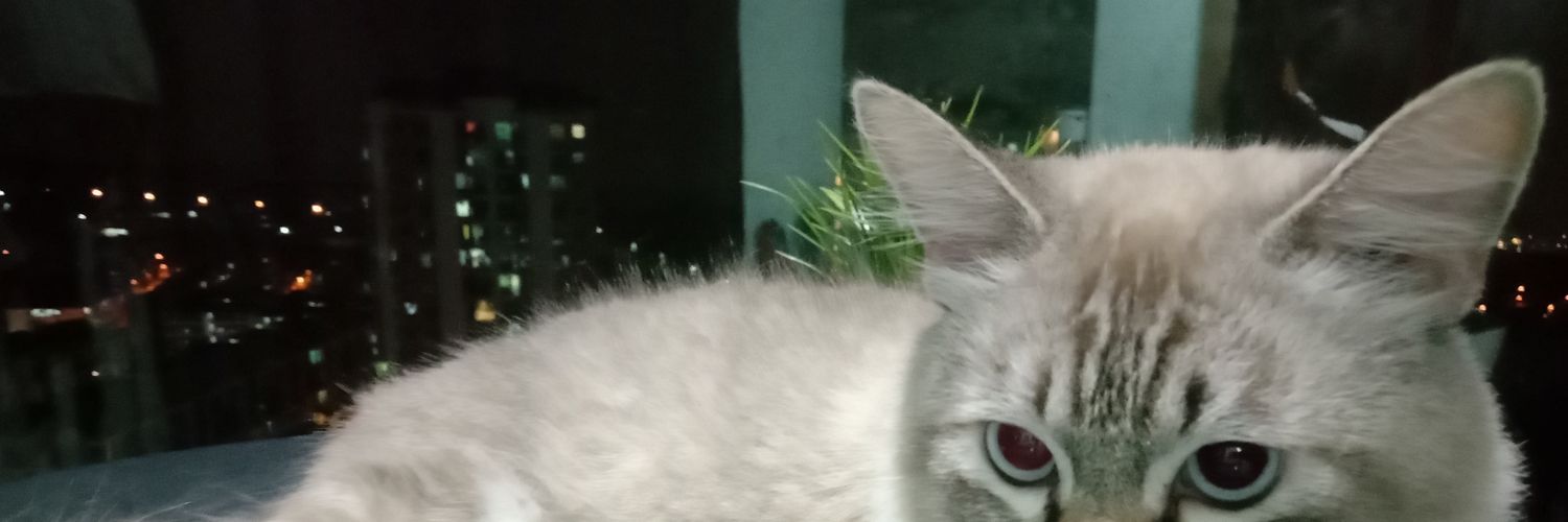 Miszleeyaa's profile banner image
