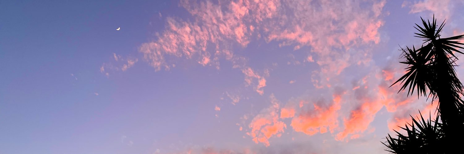 pepperonciniii's profile banner image