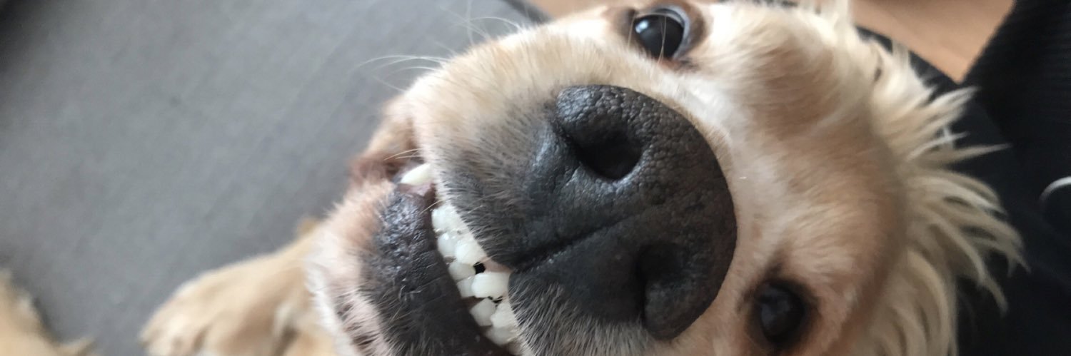 TheRealShanBowe's profile banner image