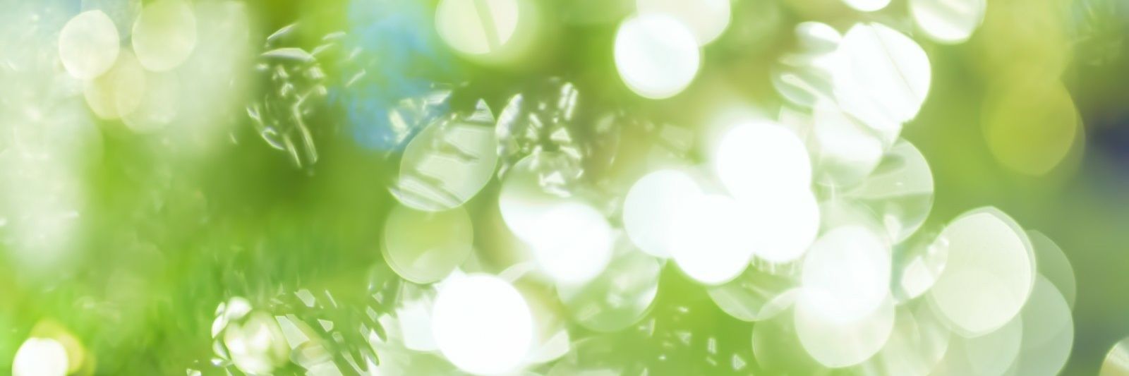 1017hPa's profile banner image